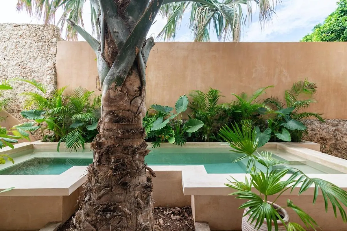 Casa Ambar, Tu Casa En Mérida